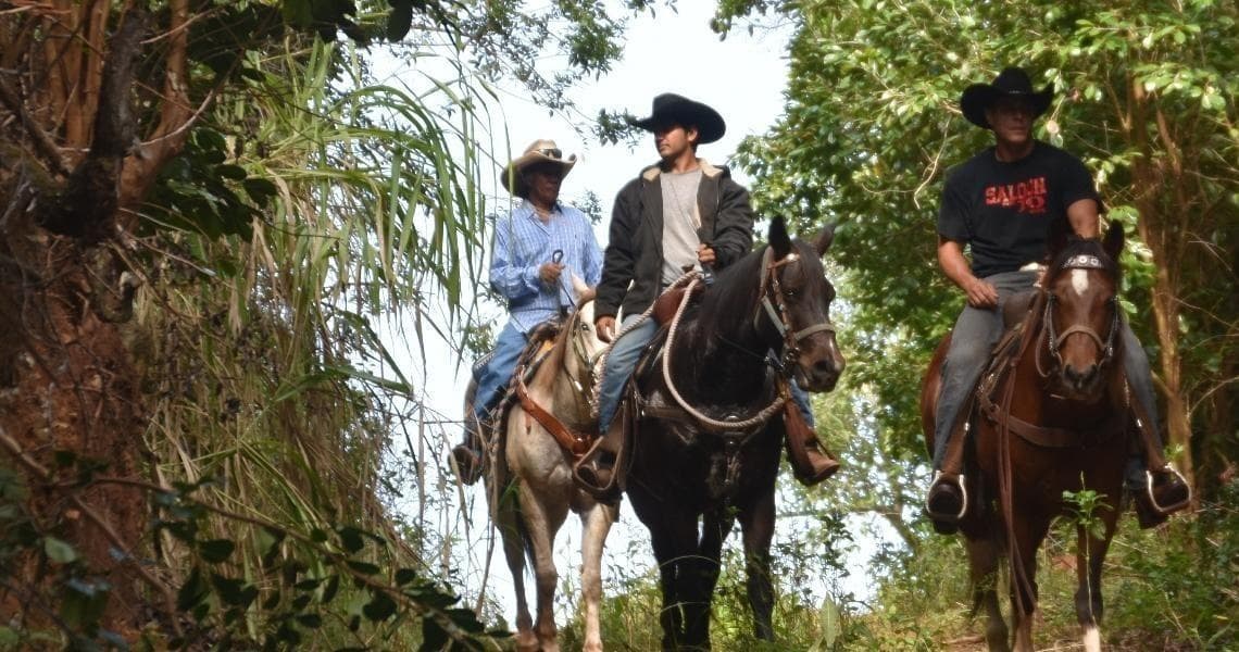 Afternoon Horseback Ride