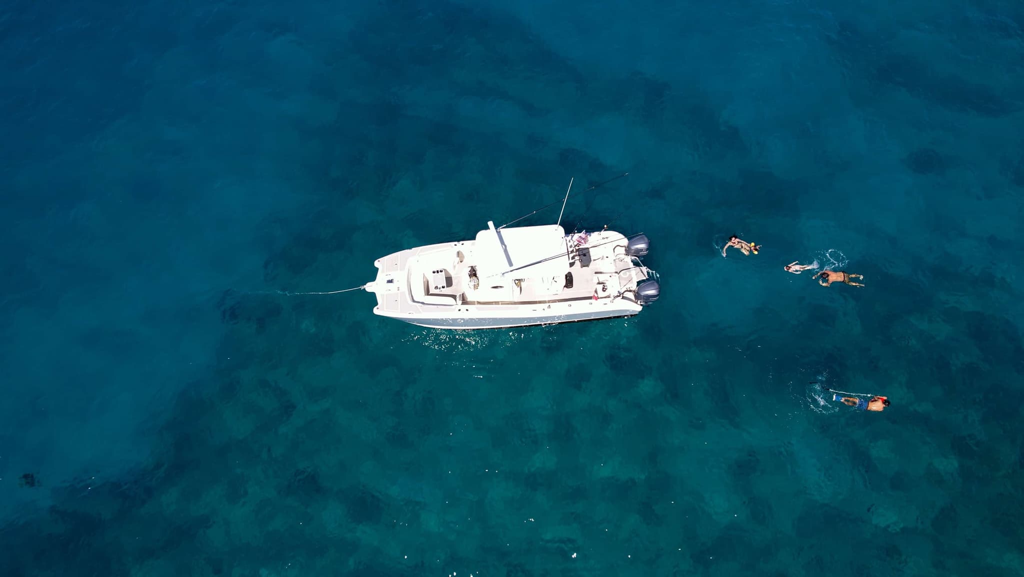 Venture Whale Watch + Snorkel