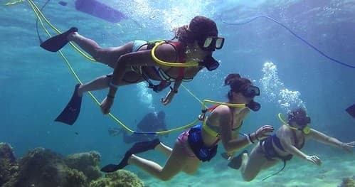 Guided Snorkel Tour