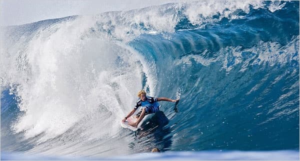 North Shore Shark Adventure