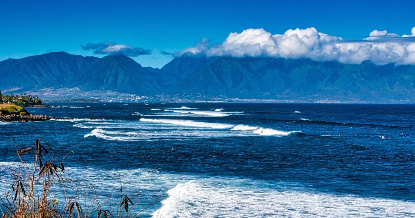 Private Halfway to Hana VIP Tour Large Group