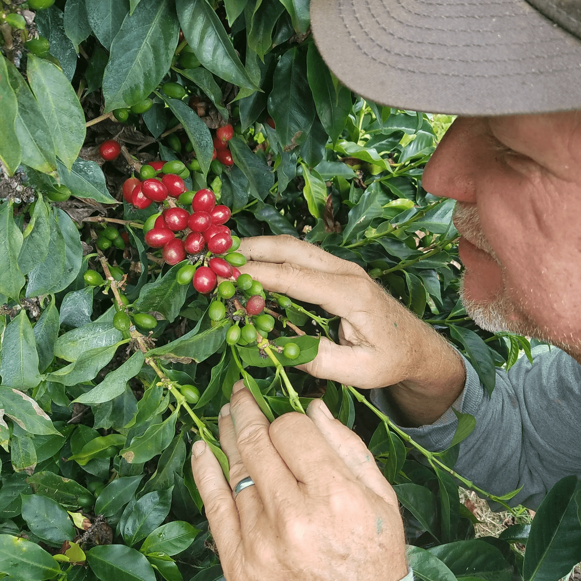 Specialty Tour & Tasting