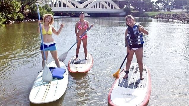 River Turtle Tour and SUP Lesson