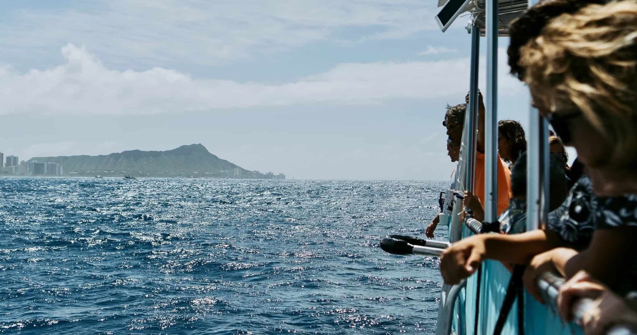 OCEAN SAFARI [Wildlife Boat Tour]