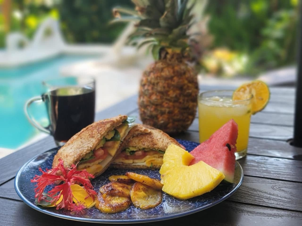 Roots of Relaxation: An Elevated Yoga & Nature Retreat in Puerto Viejo, Costa Rica