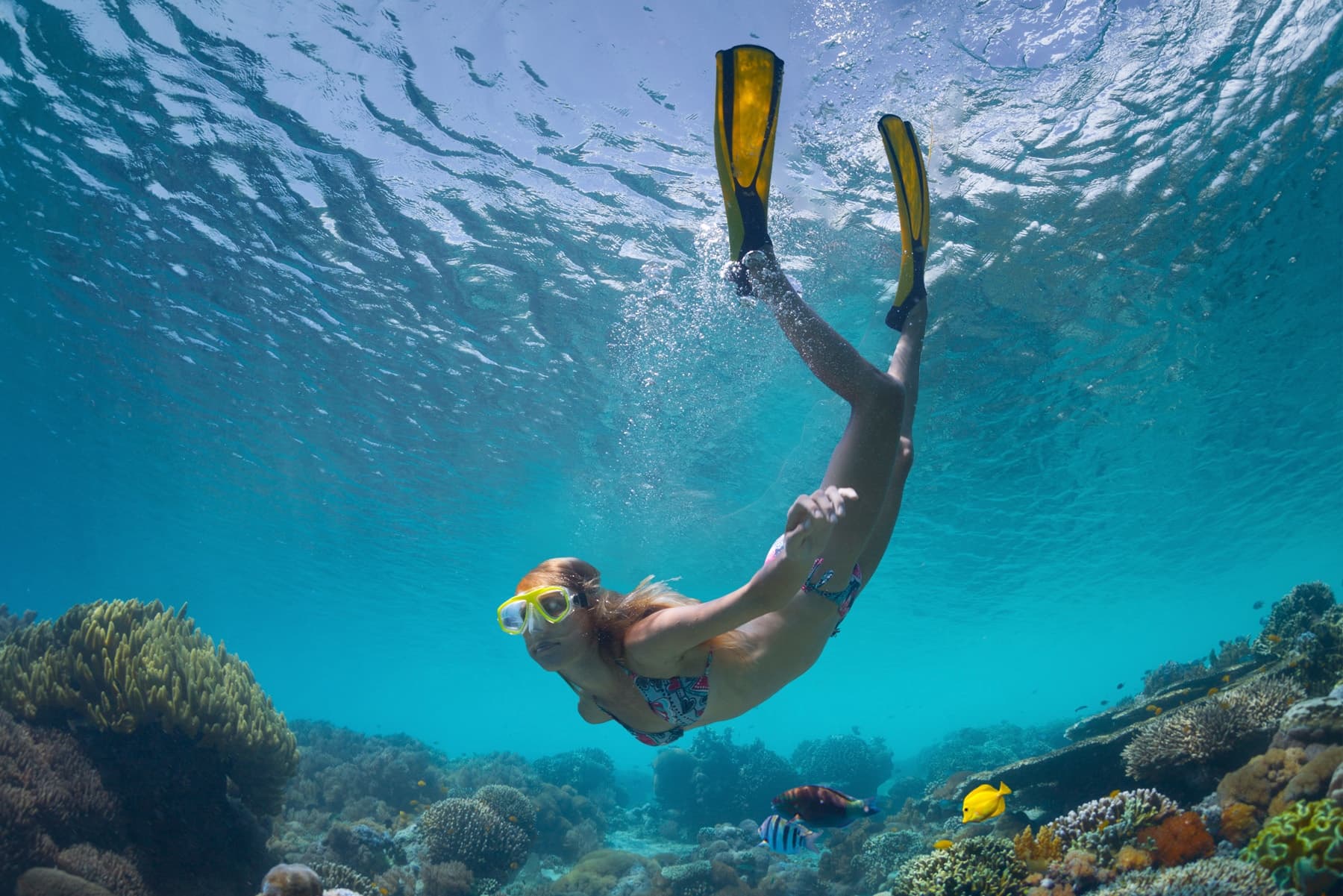 Super-Raft Snorkel - PM