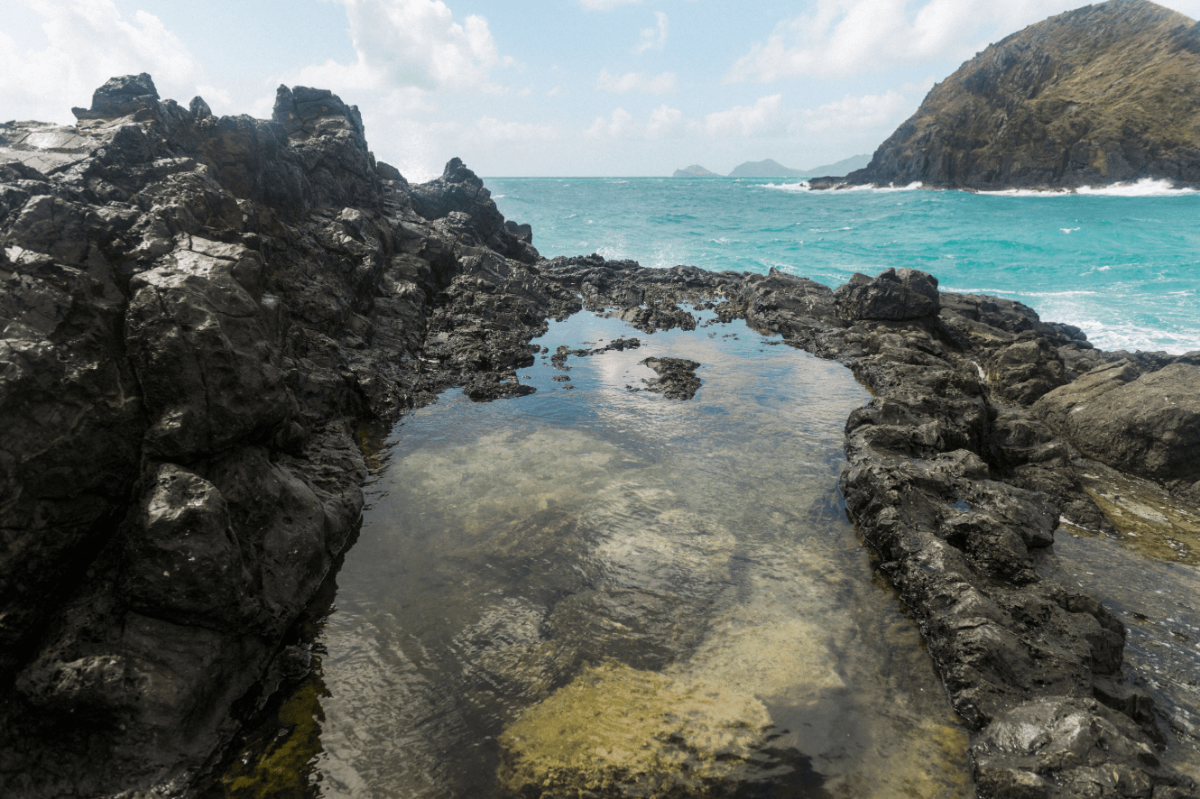 Hoe Wa'a (Hawaiian Canoe Paddle)