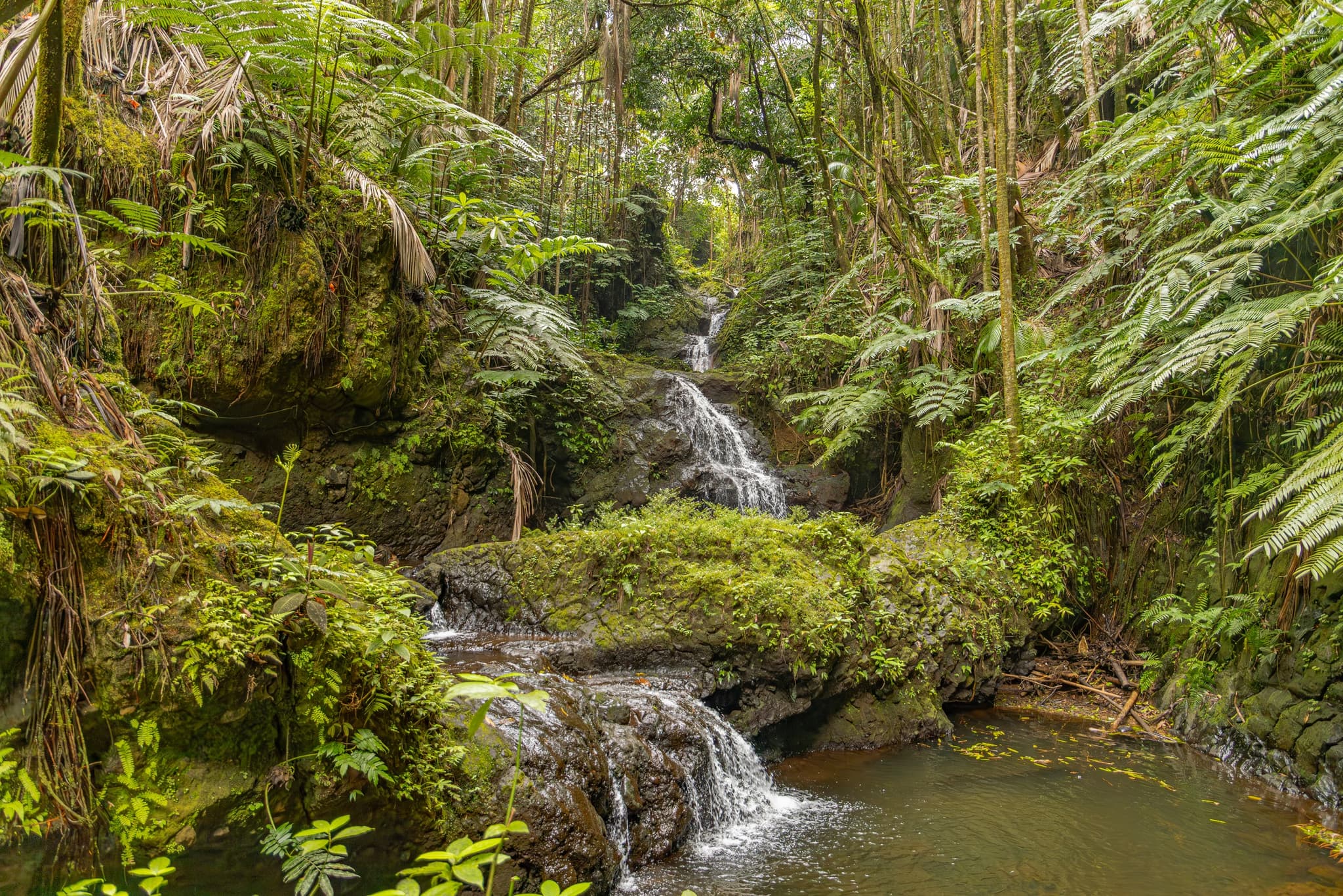 Big Island Waterfalls & Iconic Locations
