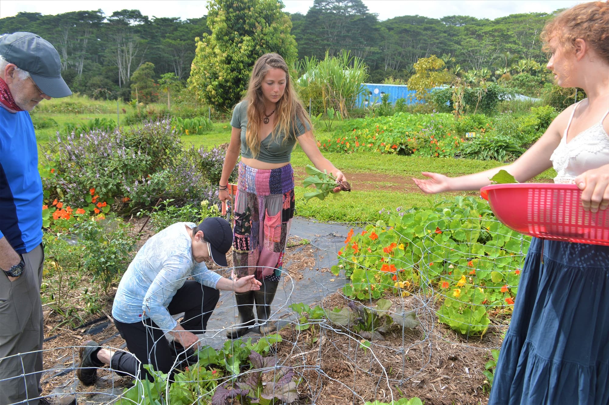Farm to Table Cooking Class