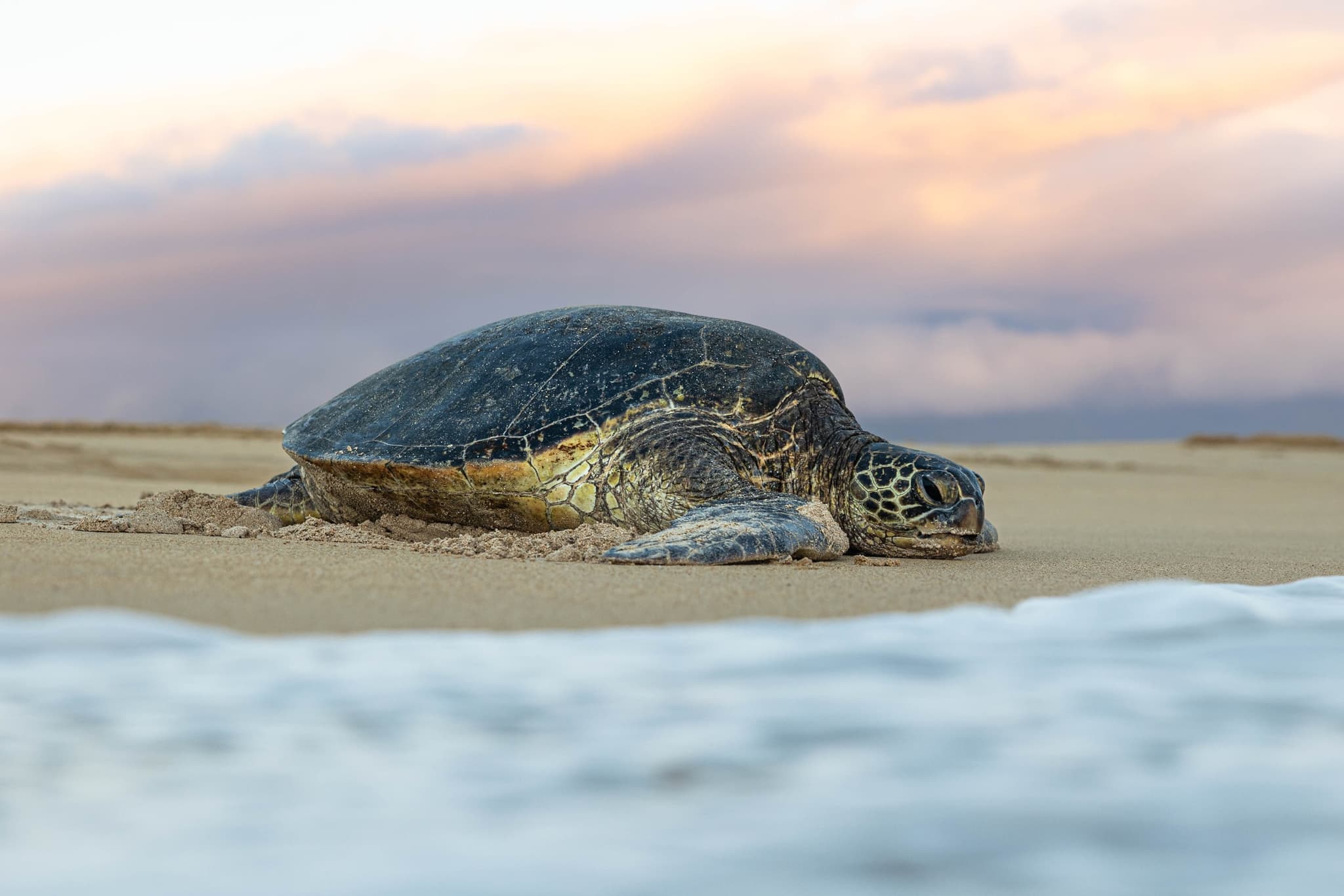 Road to Hana Halfway & Haleakala National Park Tour - The Best of Maui!