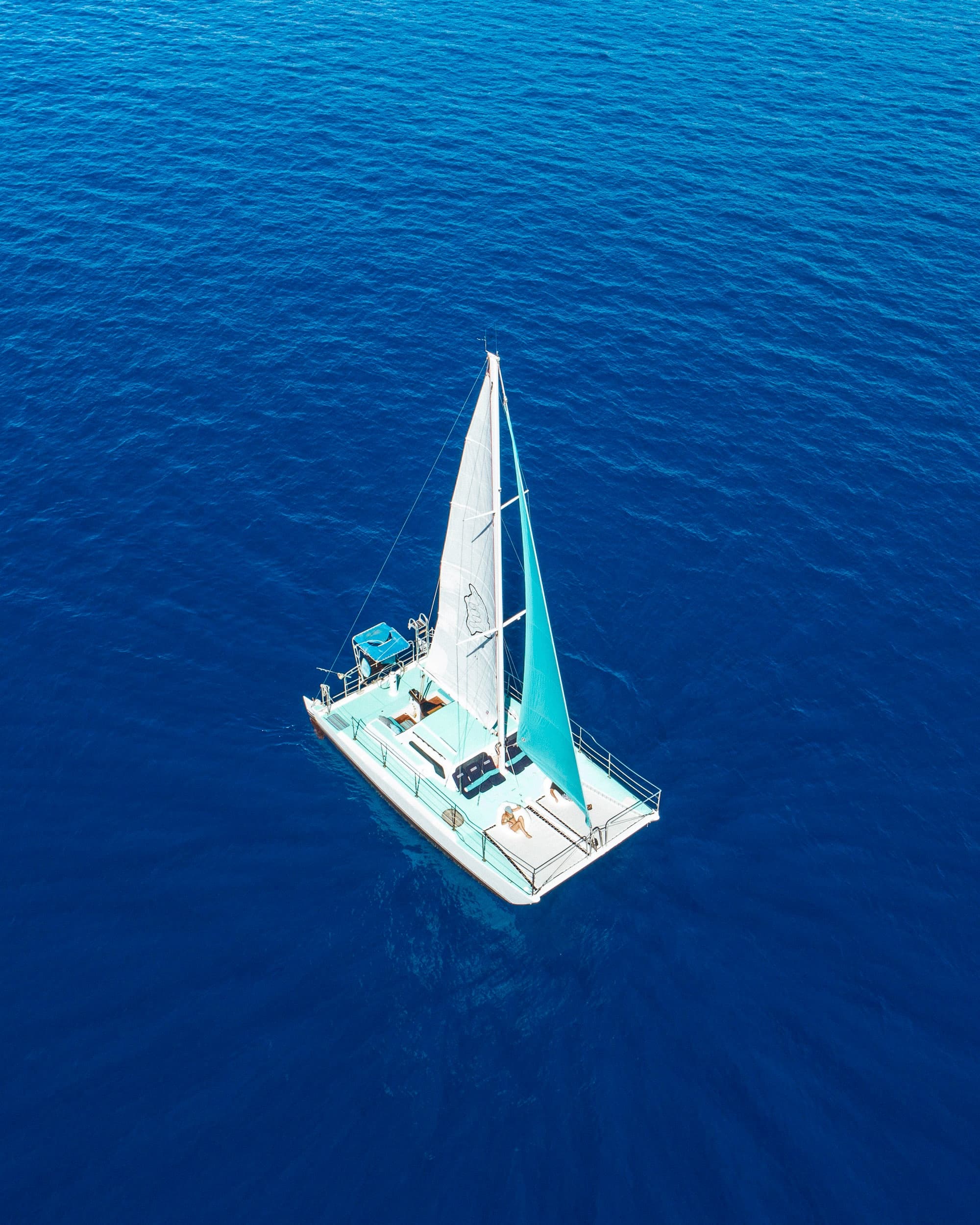 Whale Watch/ Coastline Tour