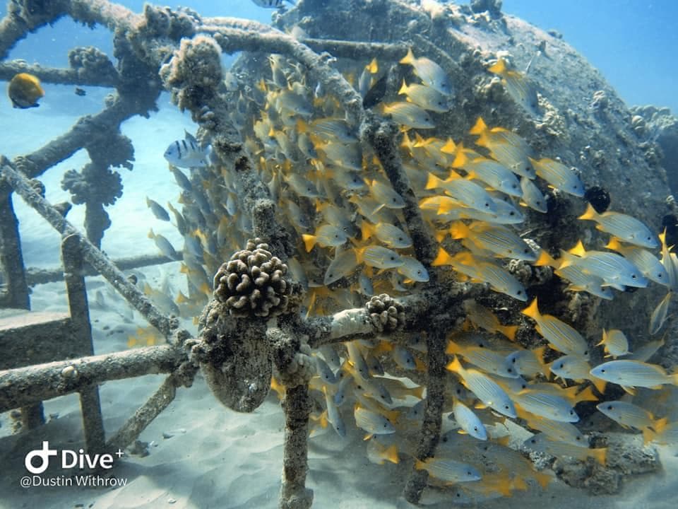 DIVER ADVENTURE - Private Group