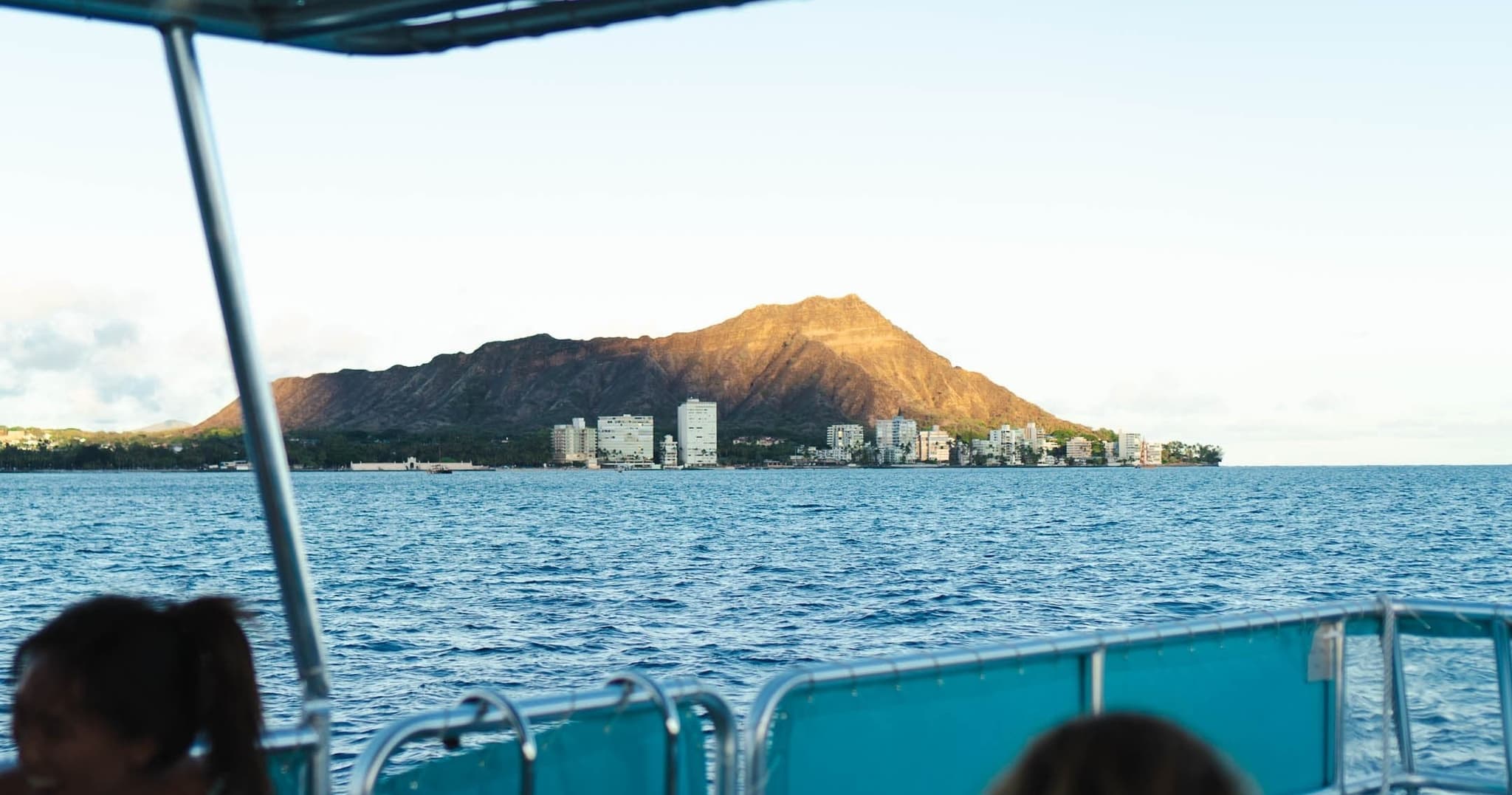 OCEAN SAFARI [Wildlife Boat Tour]