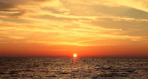 Sunset Whale Watching Tour