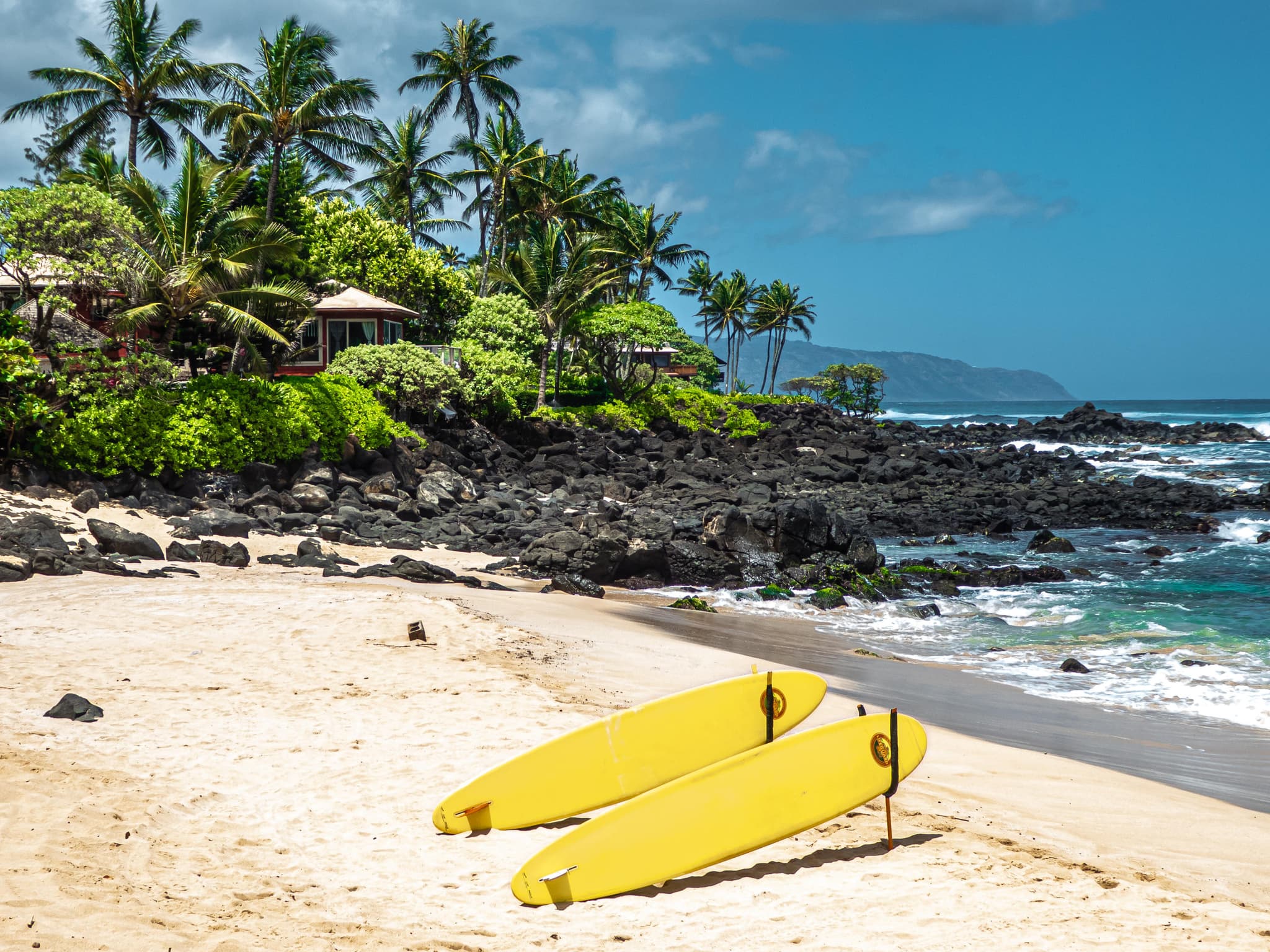 O'ahu North Shore Tour