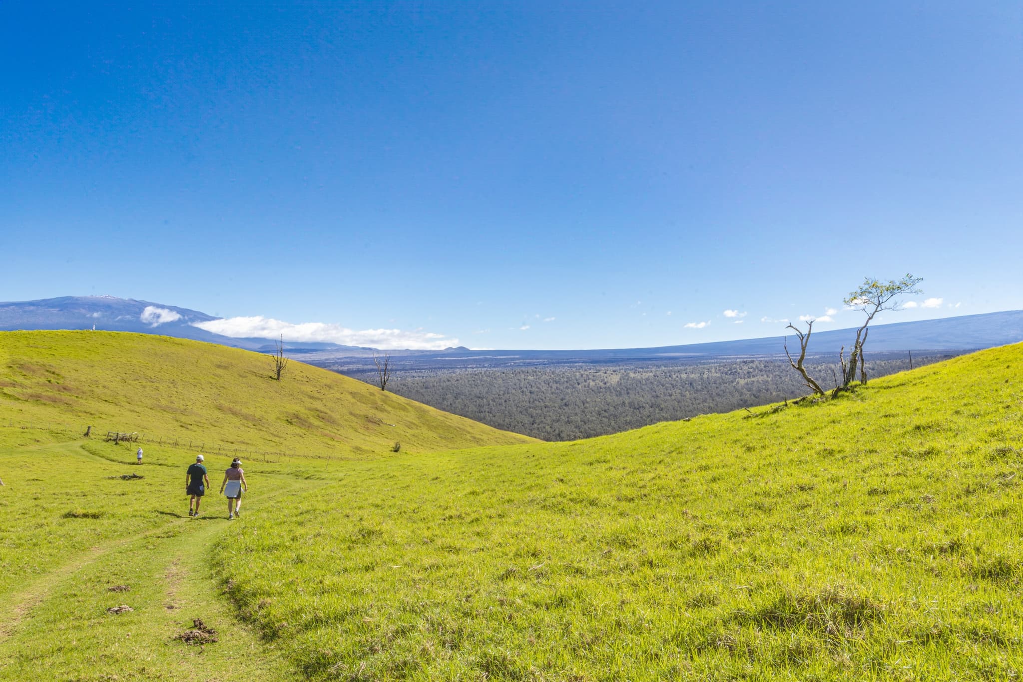 Pu'u Wa'awa'a Hike