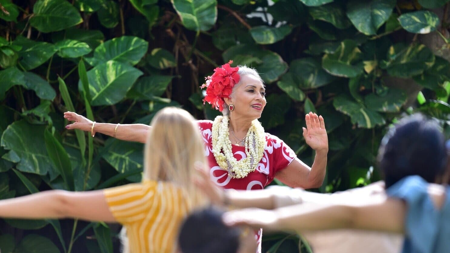 Hawaiian Language and Hula Immersion Program - One Day Interactive Tour