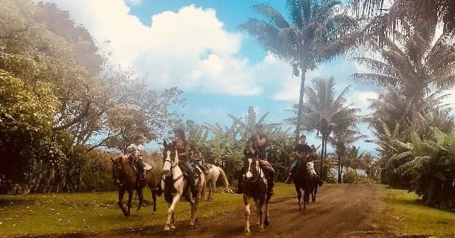 Wailea Horseback Adventure on Hawaii Big Island  Horseback, Snack & Swim Tour