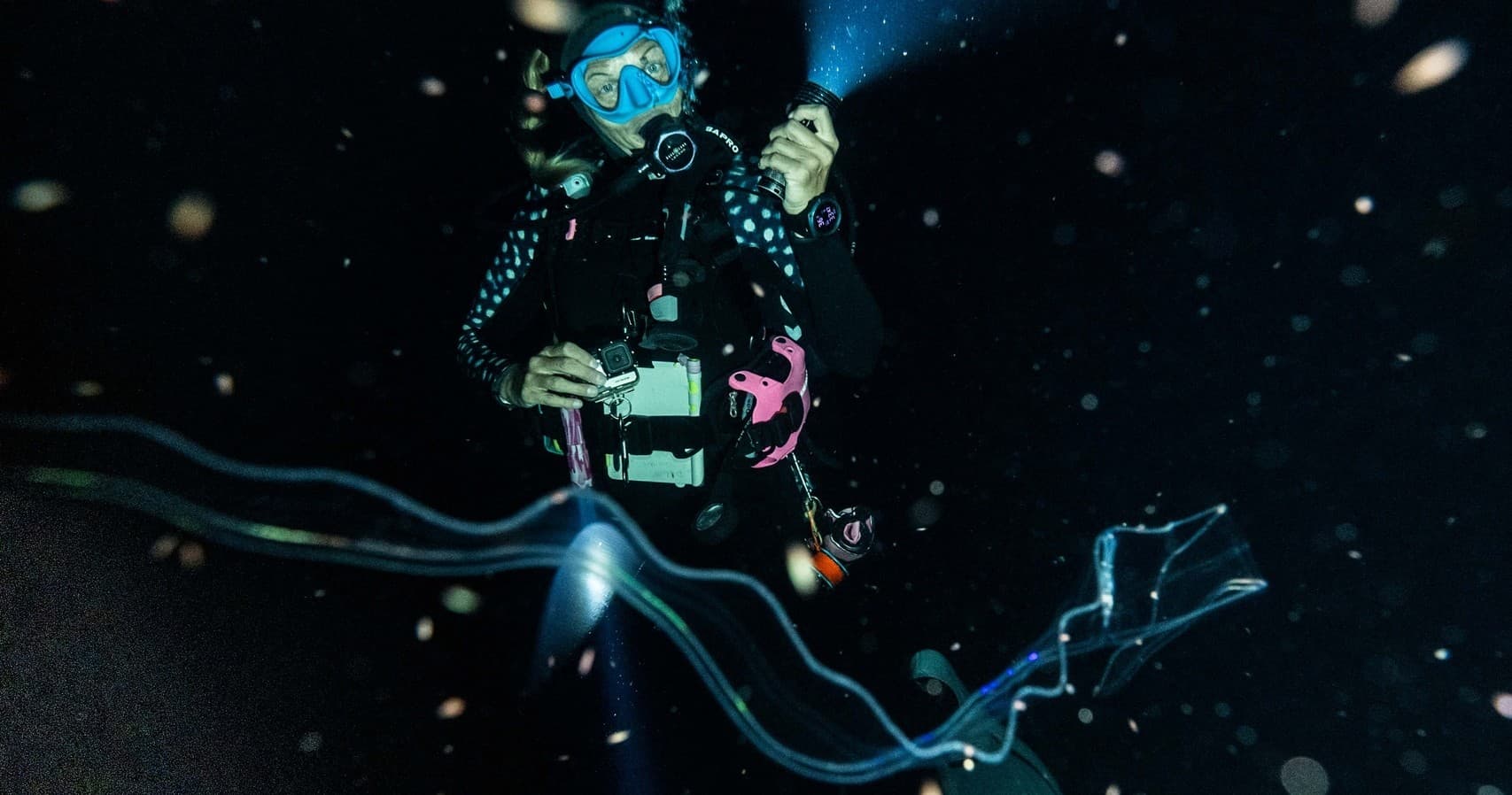 The Black Water Expedition