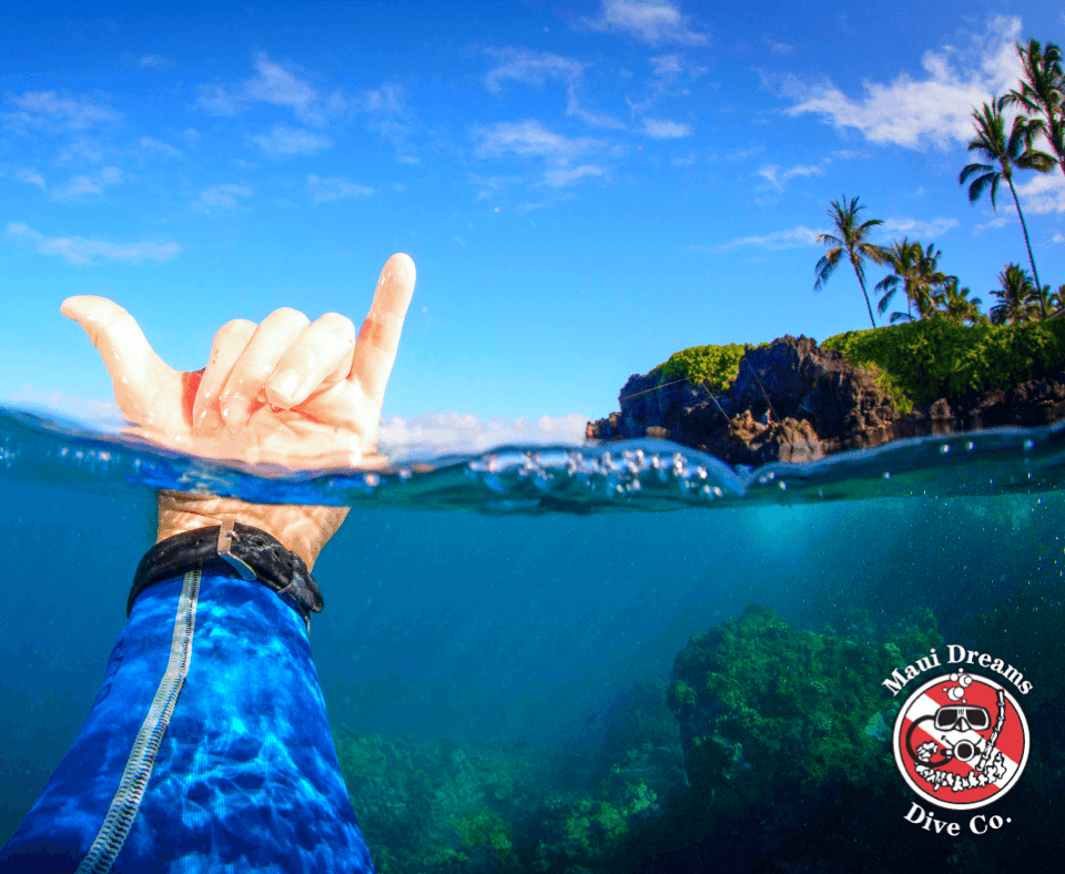 Advanced Open Water Certification