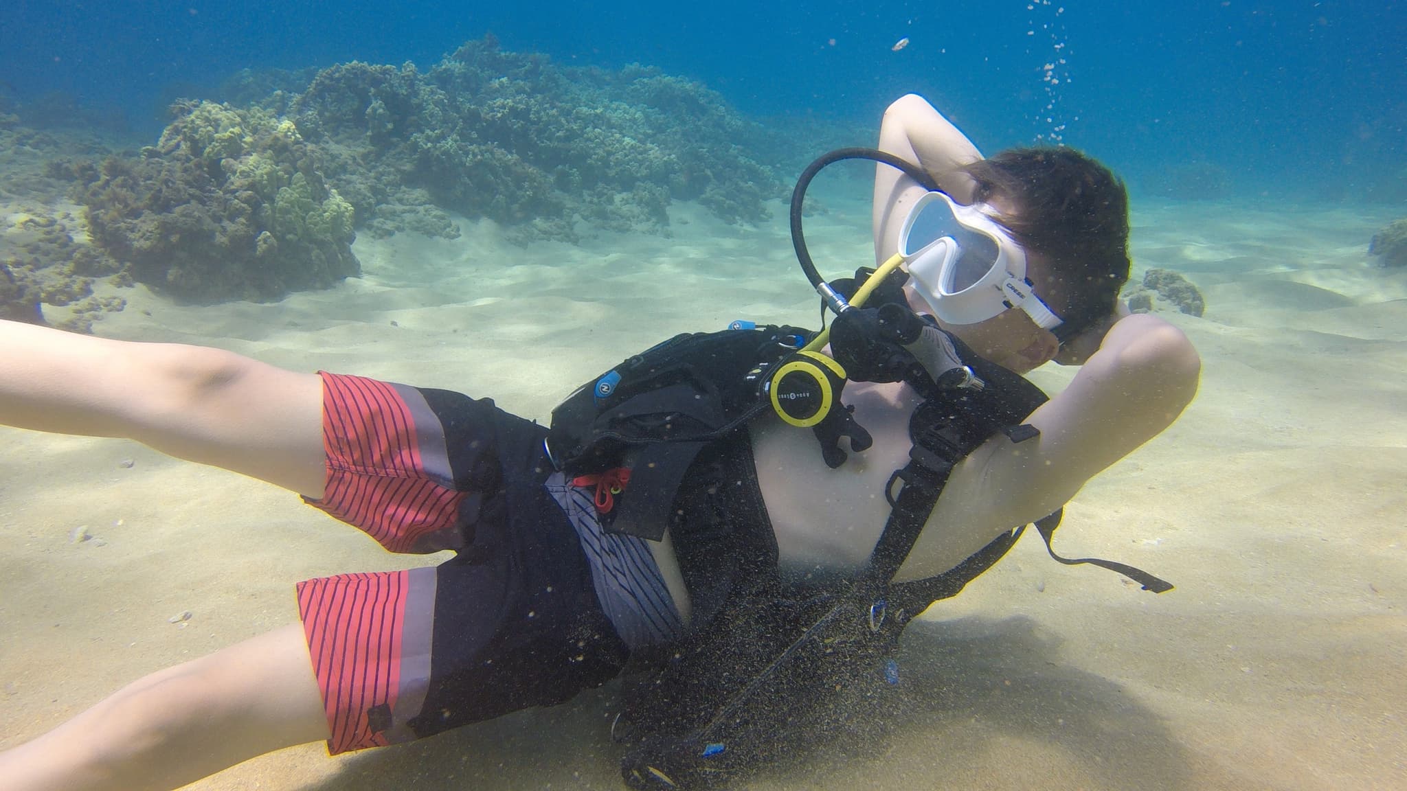 Refresher Course & Reef Dive