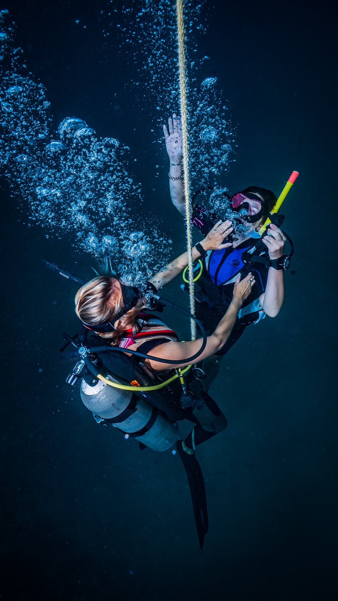 Open Water Scuba Diver Referral Course