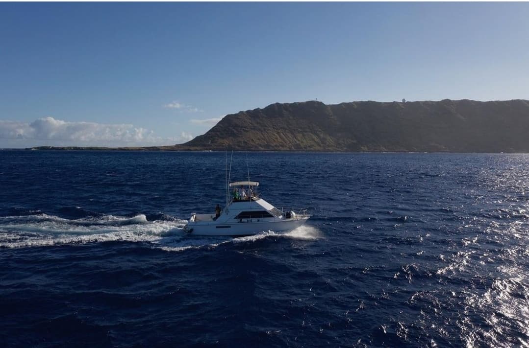 Sunset Safari Cruise