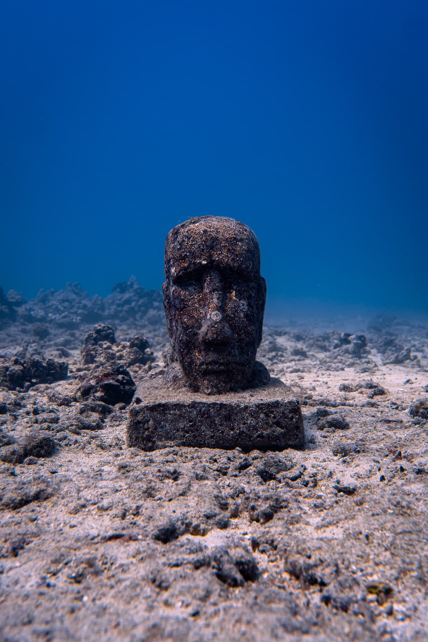 Private Guided Turtle Scuba Dive from Shore! (Electric Beach)