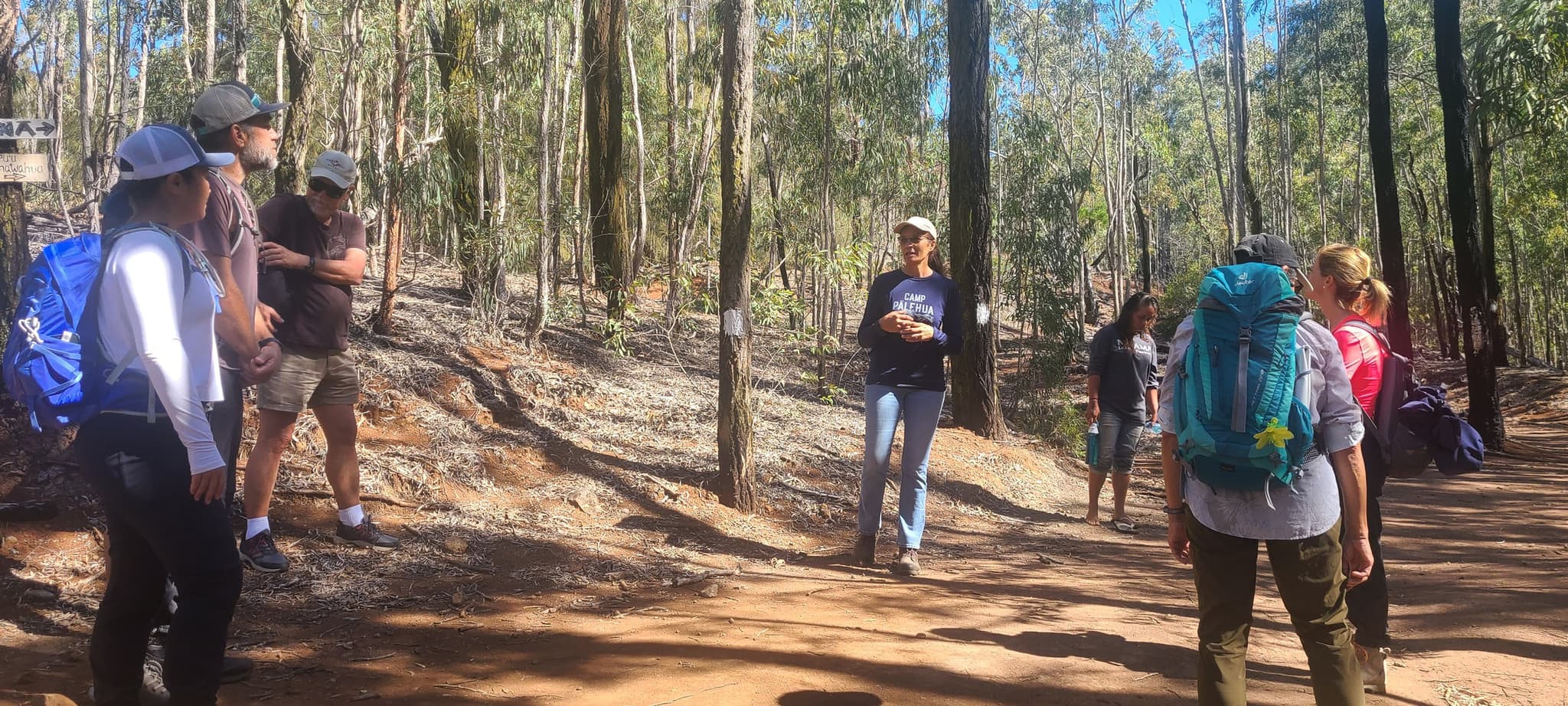 Forest Bathing, Hike, & Moʻolelo