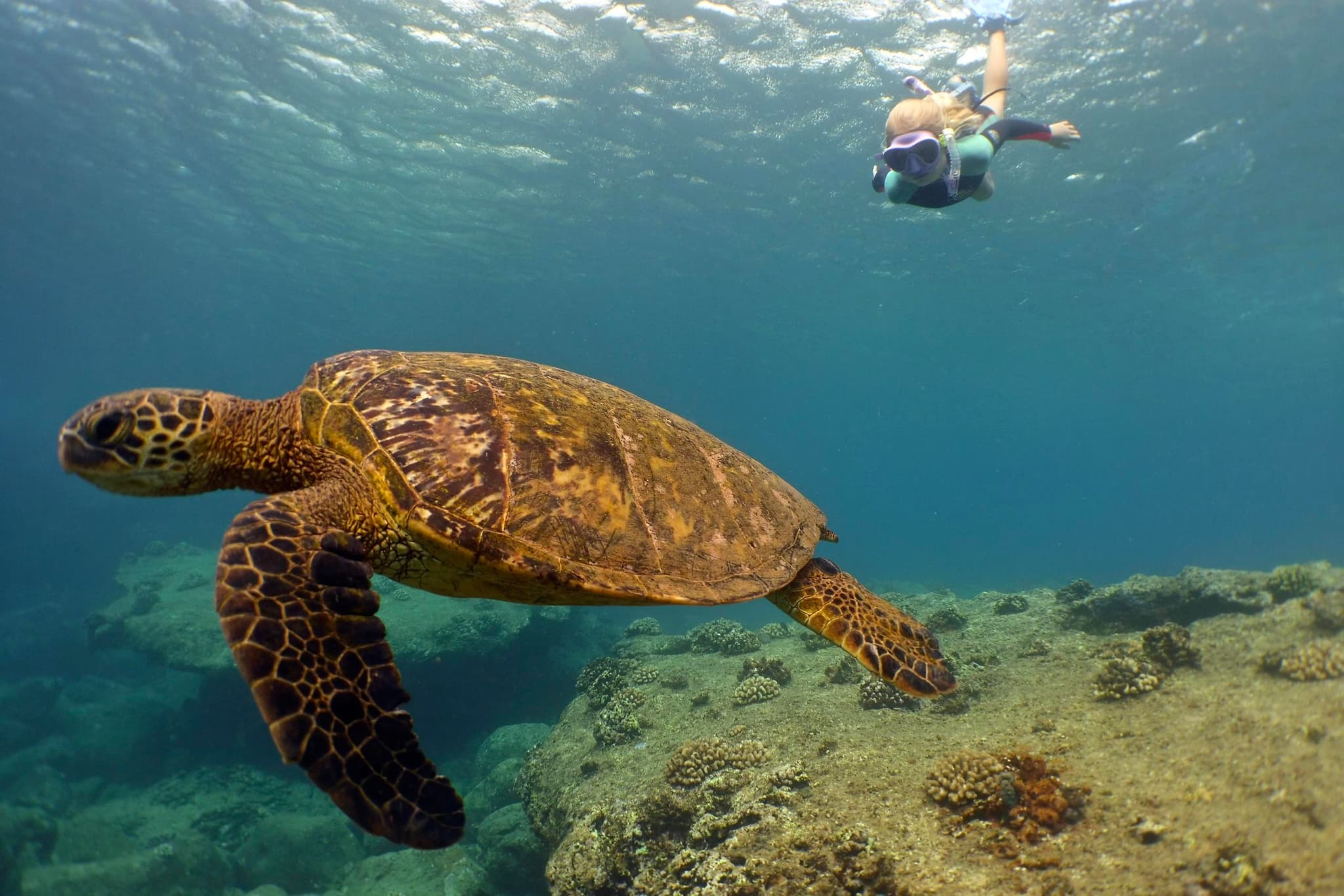 Marine Preserve Snorkel Adventure