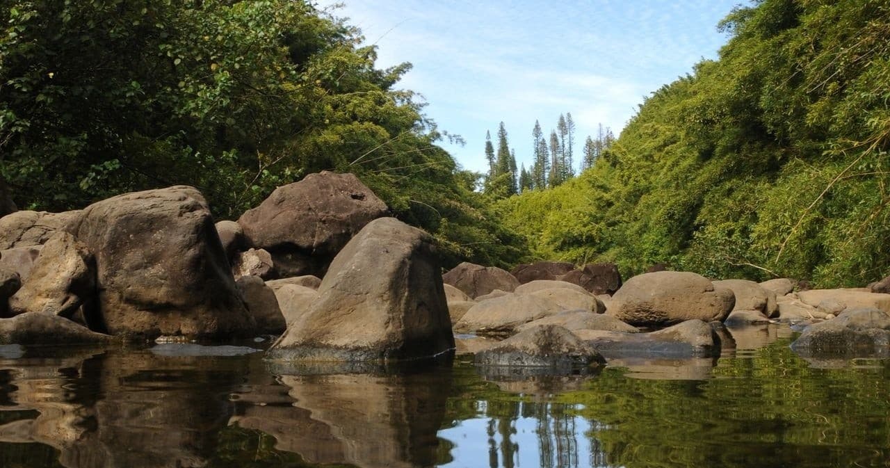 Private Northshore Explorer & Photo Tour