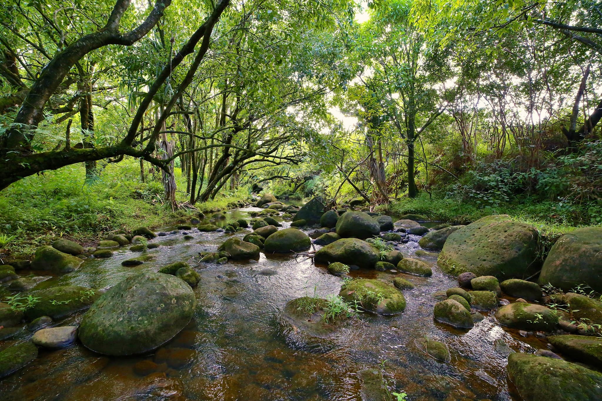 TUESDAY | Introduction to the Ahupua’a, it’s Food Systems and Waterways