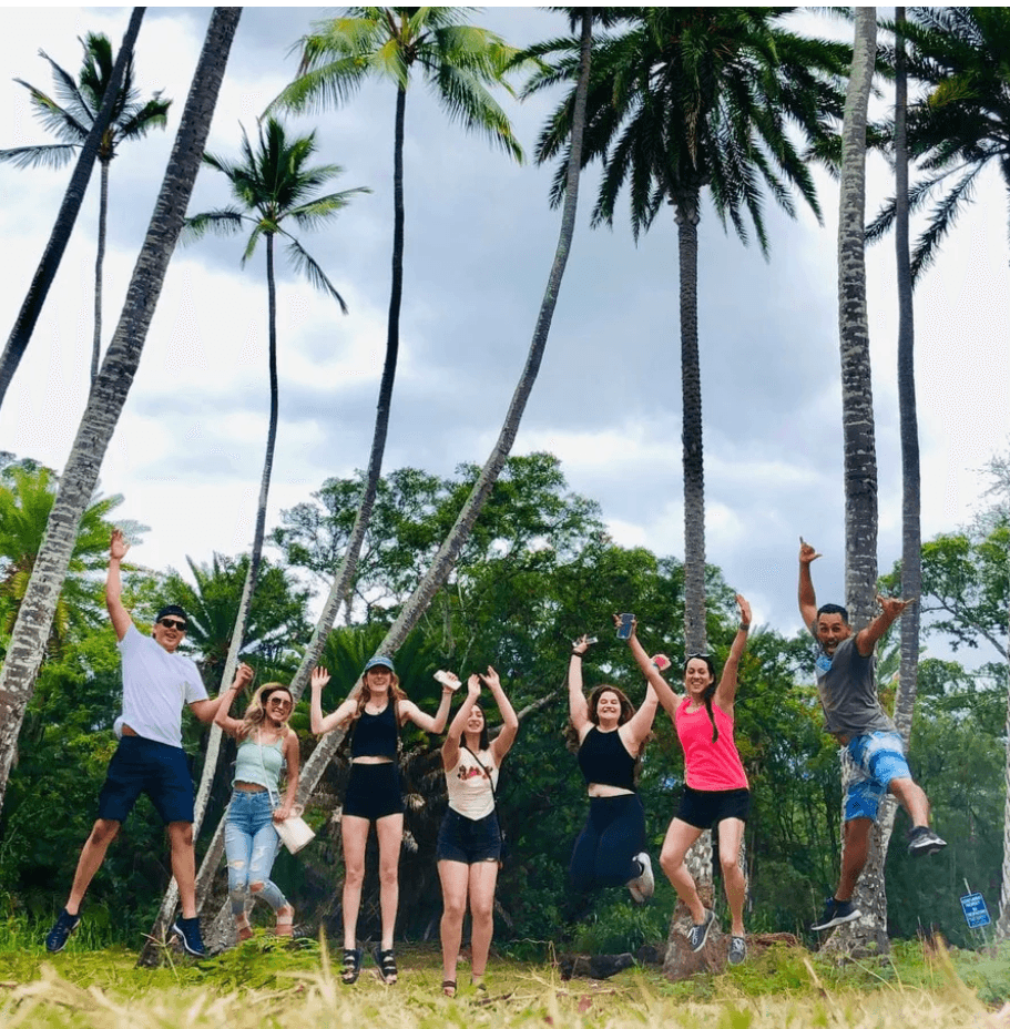 Private Sprinter: 7-13 Seats