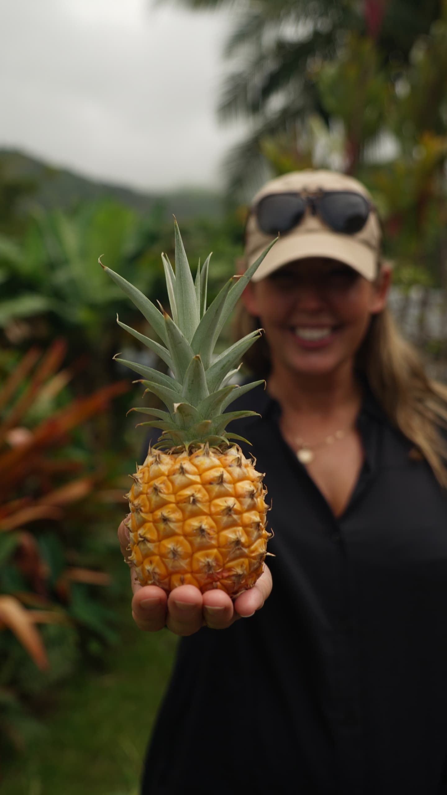 Full Day Vip Road To Hana Private Tour With Pickup