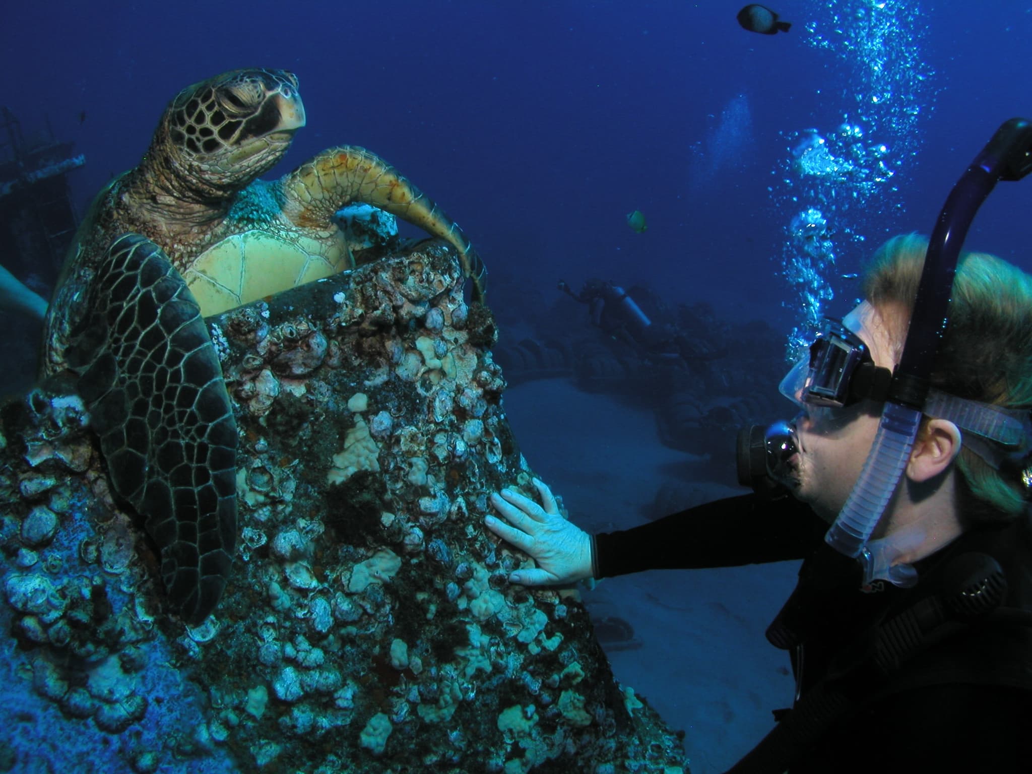 Private Dives: Intro - Refresher - Certified Divers