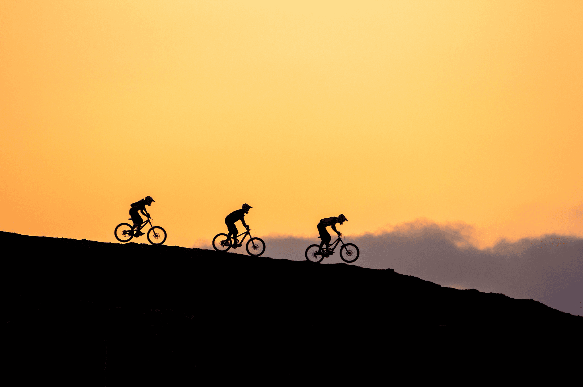 Private Electric Mountain Bike Ride