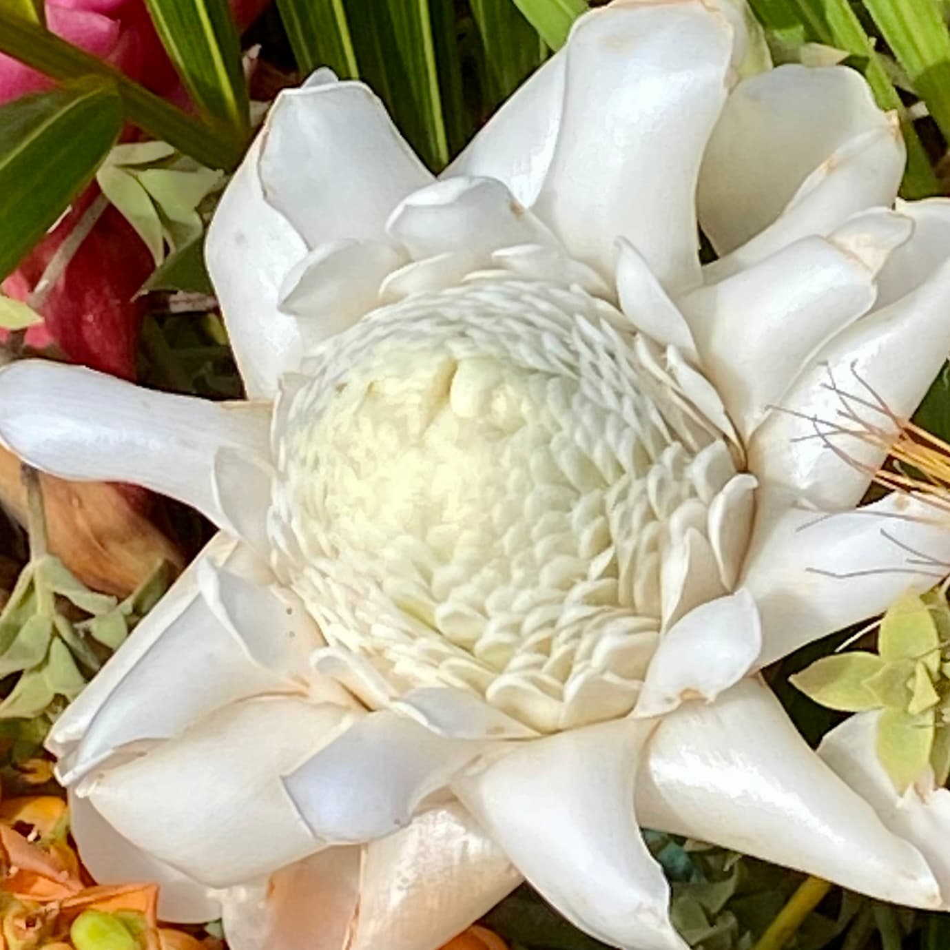 Kaua'i Healing Journey