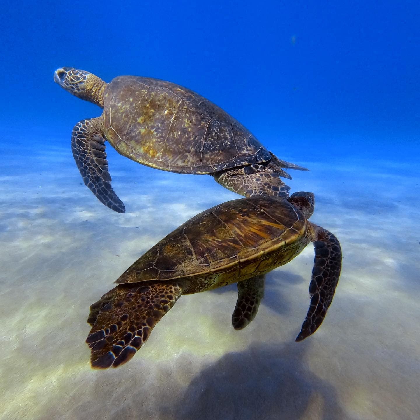 Adventures for Certified Divers