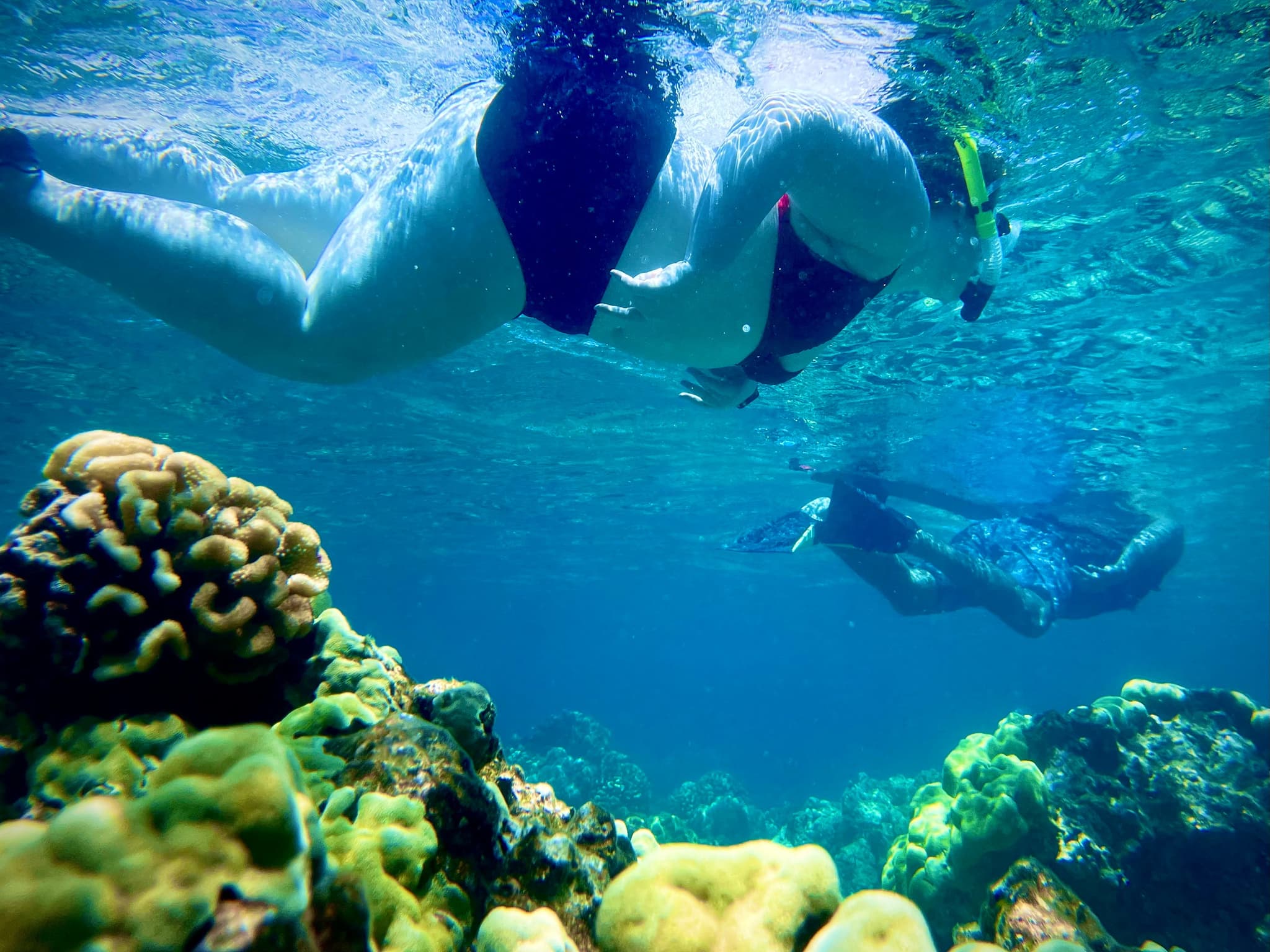 Beach Snorkel - Sea Turtle Lagoon and Black Sand Beach