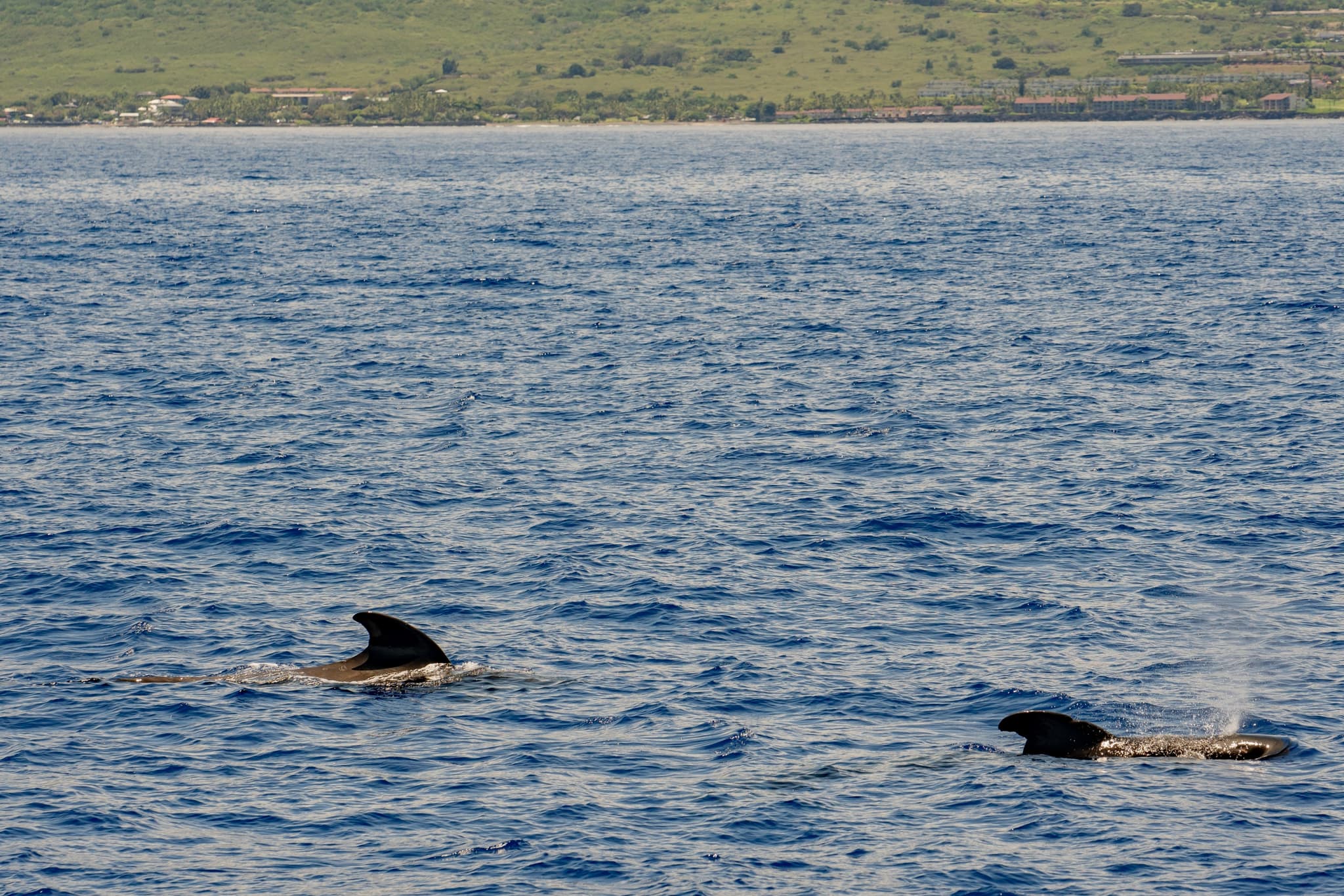Super-Raft Offshore Adventure