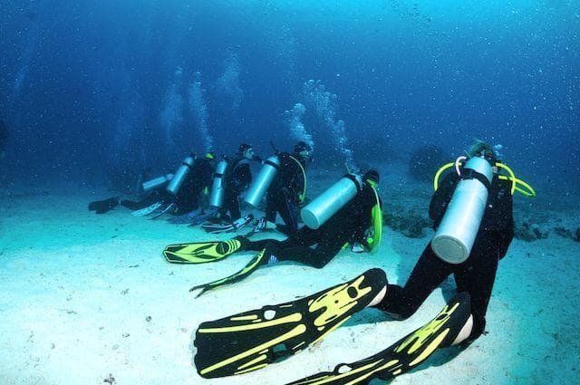 Open Water (Book) Certification Course