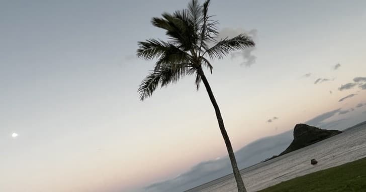 Circle Island Tour Ko Olina/Aulani/Four Seasons Pick-up with Waimea Valley Waterfall