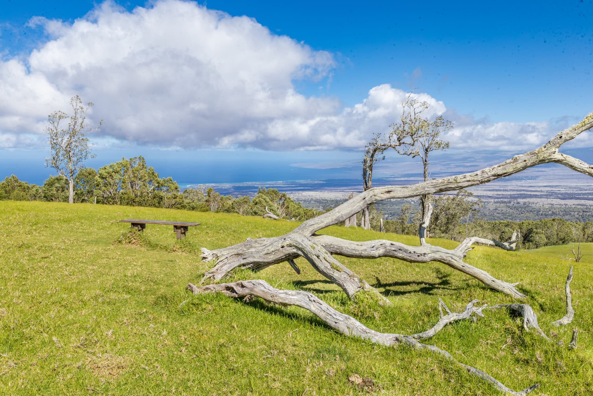 Pu'u Wa'awa'a Hike