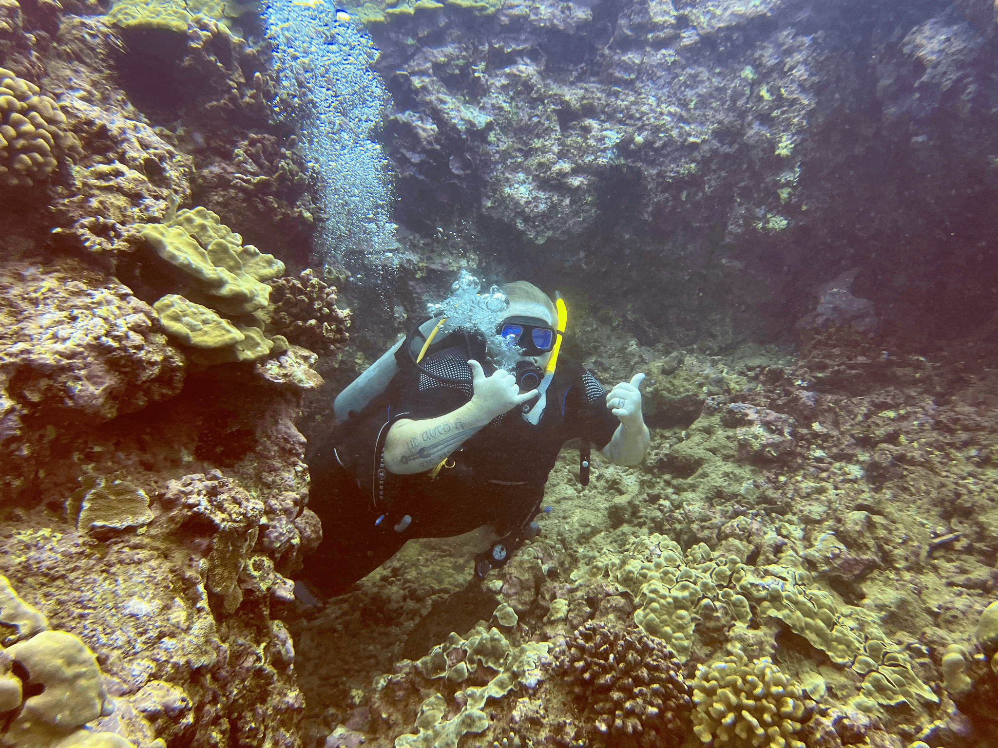 2 Tank Shore Dive – Sea Turtle Cove