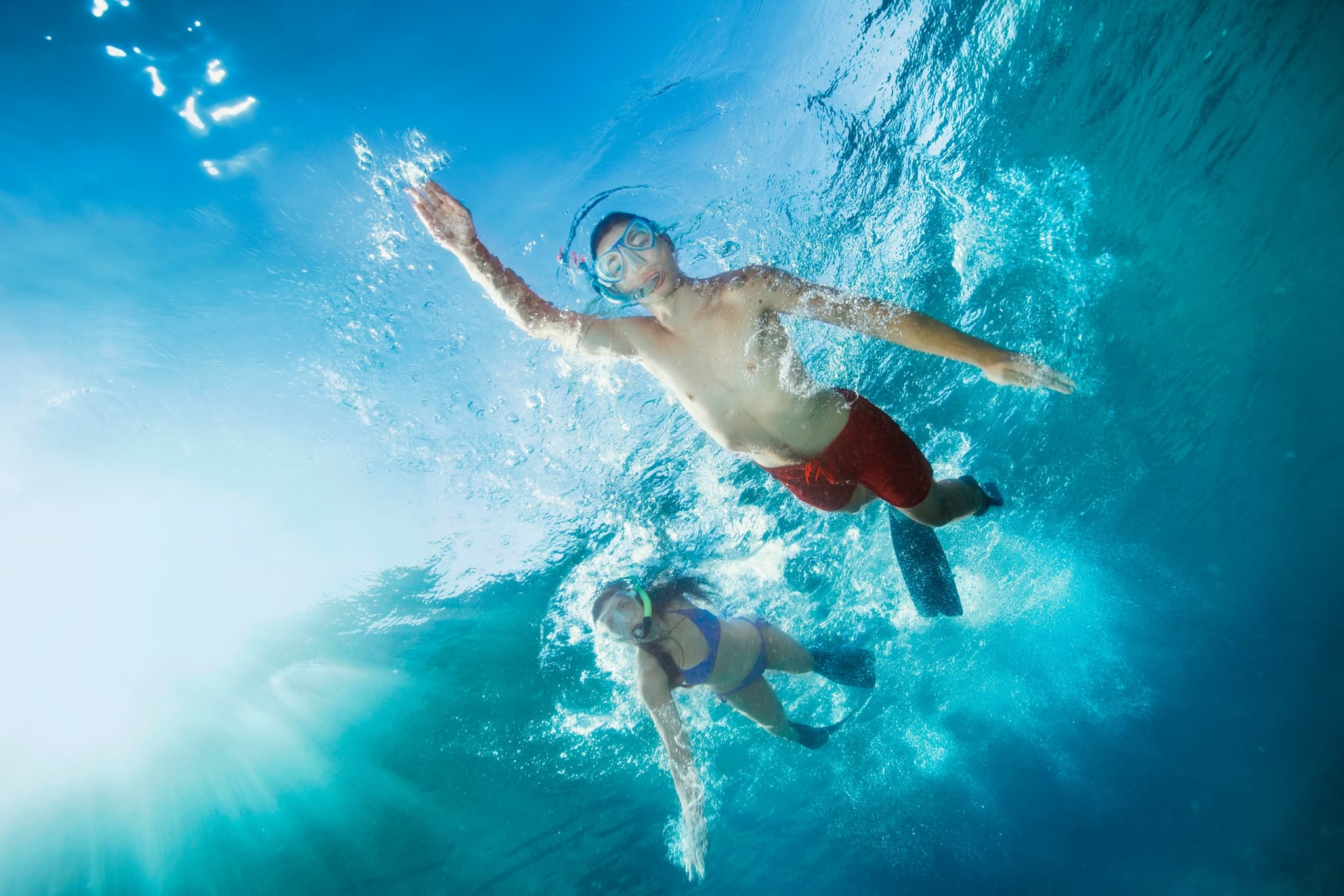 Turtle Snorkeling(+Thrilling 20ft Jumping Platform)