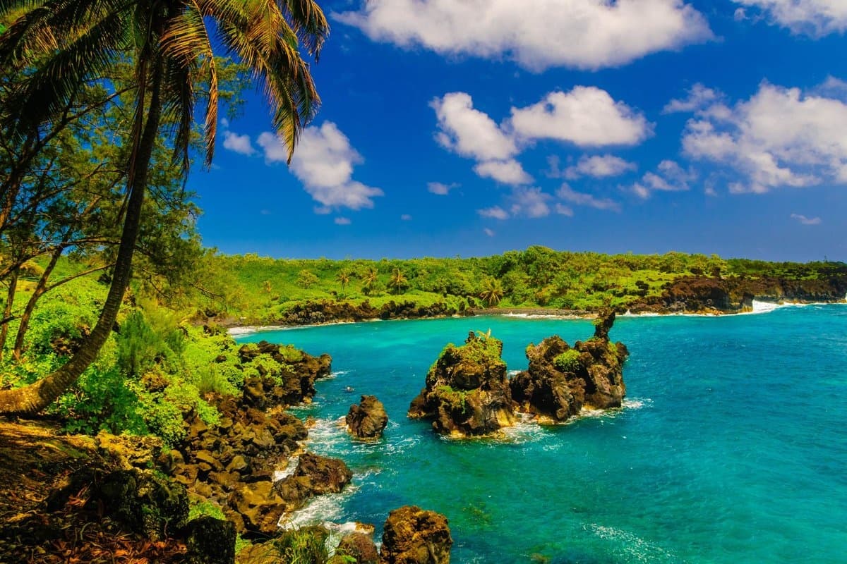 Private VIP Road to Hana Tour