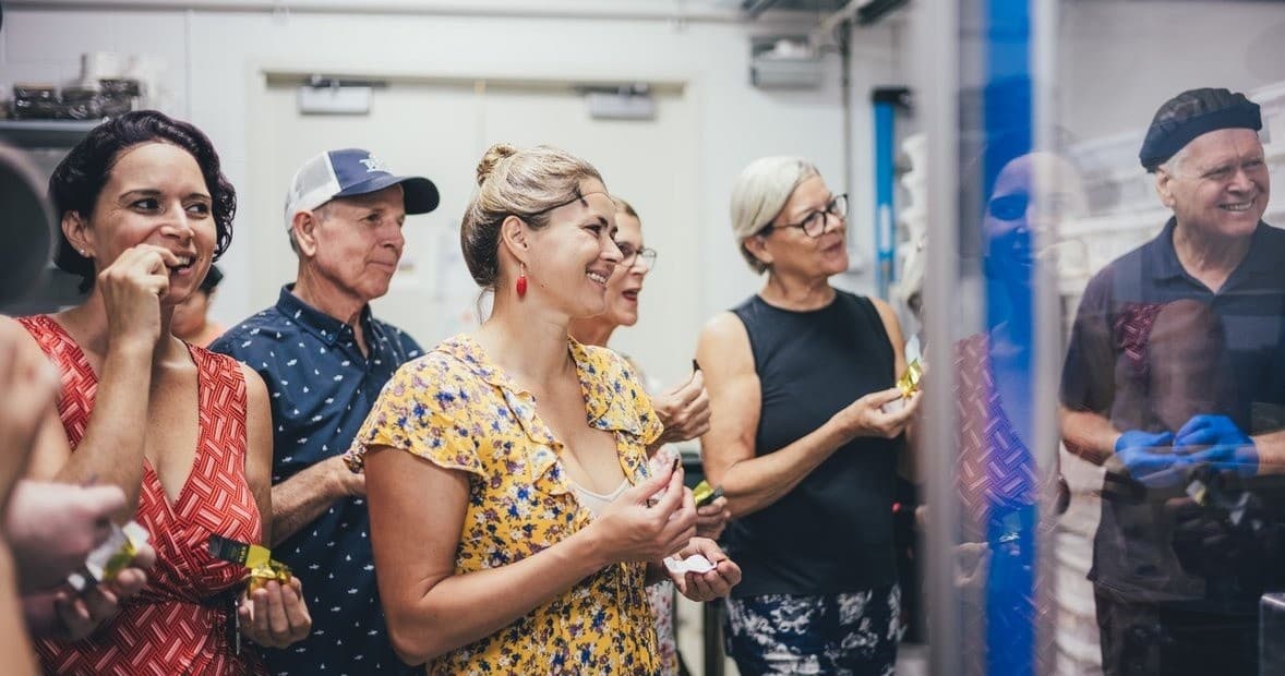 Cacao Farm and Factory Experience