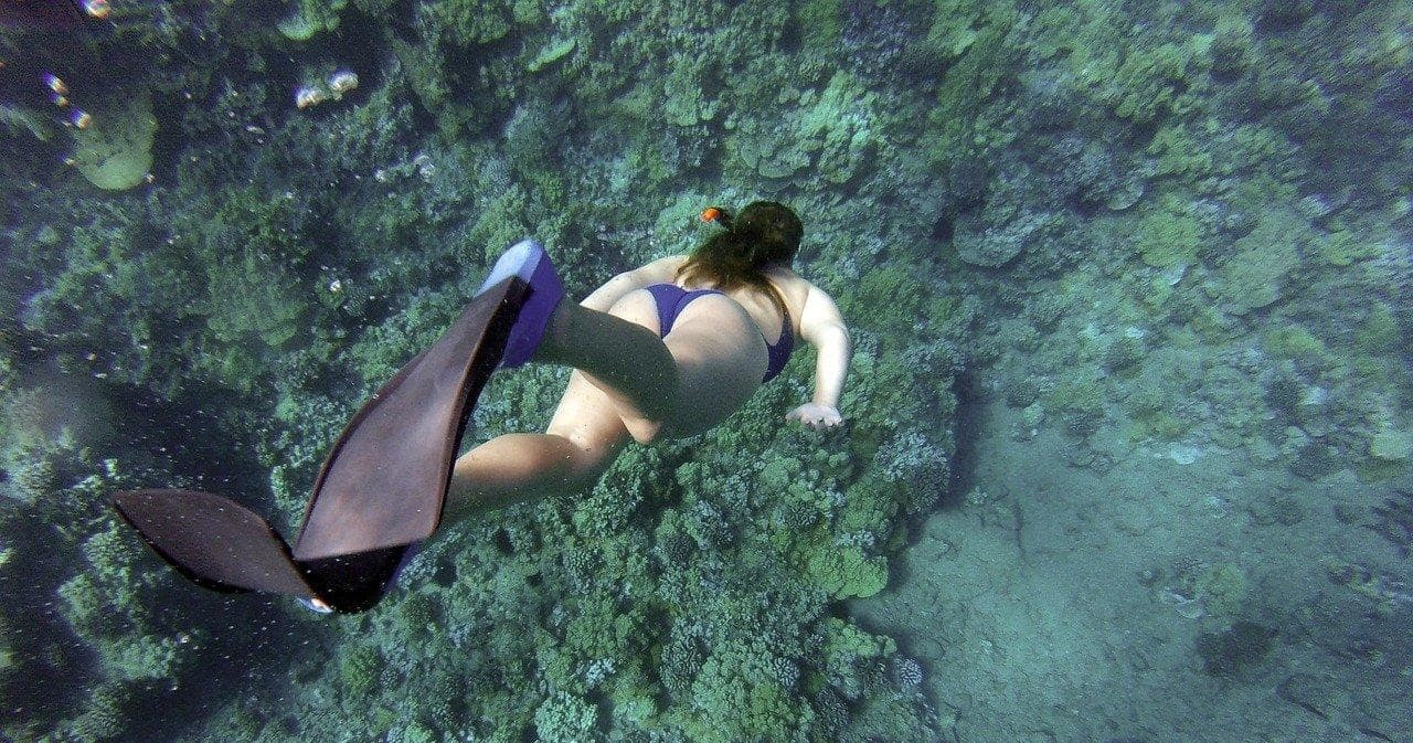 ハナウマ湾シュノーケリングツアー