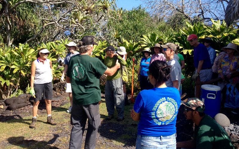 Kahanu Garden Guided Tour