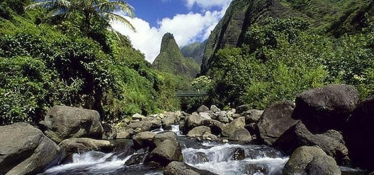 īao Valley Upcountry Vodka Tasting & Goat 🐐 Farm Tours